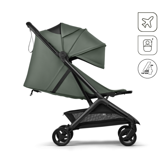 צבע הטיולון: ירוק יער