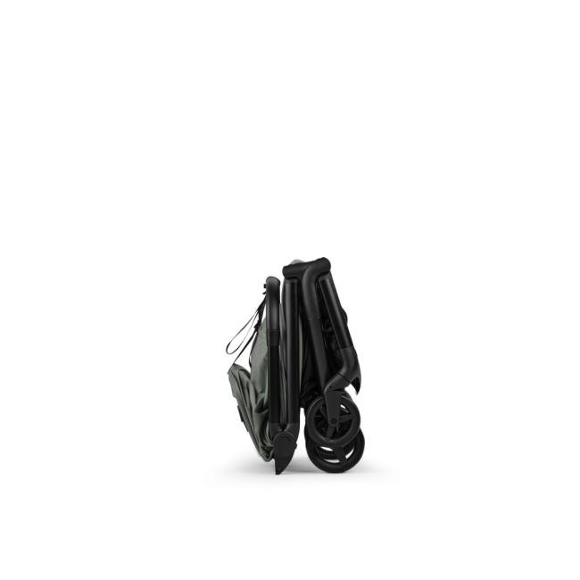 צבע הטיולון: ירוק יער