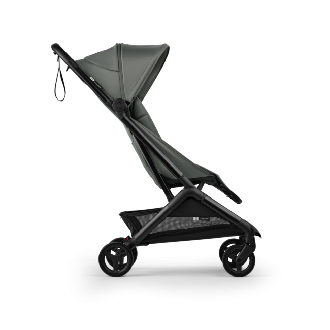 צבע הטיולון: ירוק יער