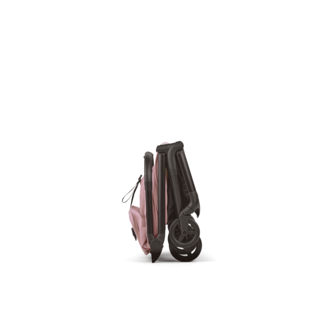 צבע הטיולון: ורוד דאסטי